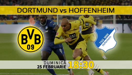 Dortmund vs Hoffenheim Statistici fotbal si ponturi pariuri Germania Bundesliga 25.02.2024