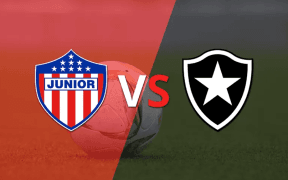 Atletico Junior vs. Botafogo: Duel pentru Primul Loc în Grupa D din Copa Libertadores