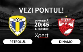 Petrolul vs Dinamo Ponturi Superliga 24.11.24
