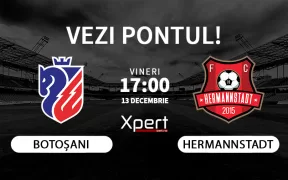 Botosani vs Hermannstadt Ponturi Superliga 13.12.24